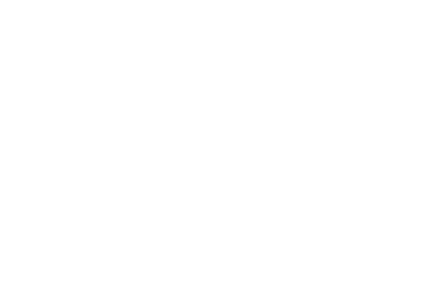 VALK